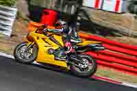 Middle Yellow Group 1